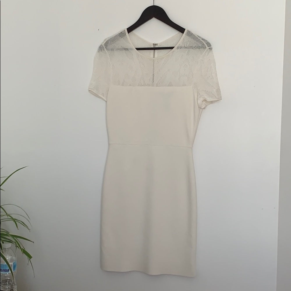 💗 BCBG Maxazria Bodycon dress